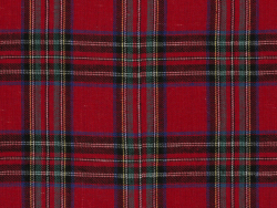 plaid 04