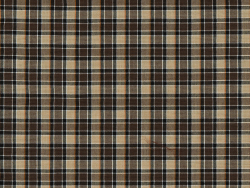 plaid 06