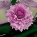 modello 3D di Bouquet di spose modello 3d comprare - rendering