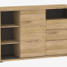 modello 3D Chest 1D-3S (TYPE 43) - anteprima