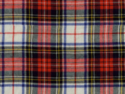 Plaid 20