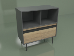 Armoire avec module 02