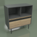 3D Modell Schrank mit Modul 02 - Vorschau