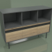 3D Modell Schrank mit Modul 03 - Vorschau