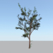 modèle 3D arbre - preview