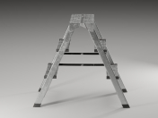 LADDER