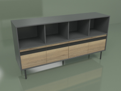 Armoire avec module 04