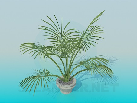 3d model house plant - preview