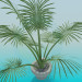 3d model house plant - preview