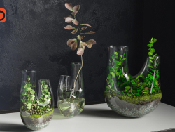 Plant terrarium SET # 1