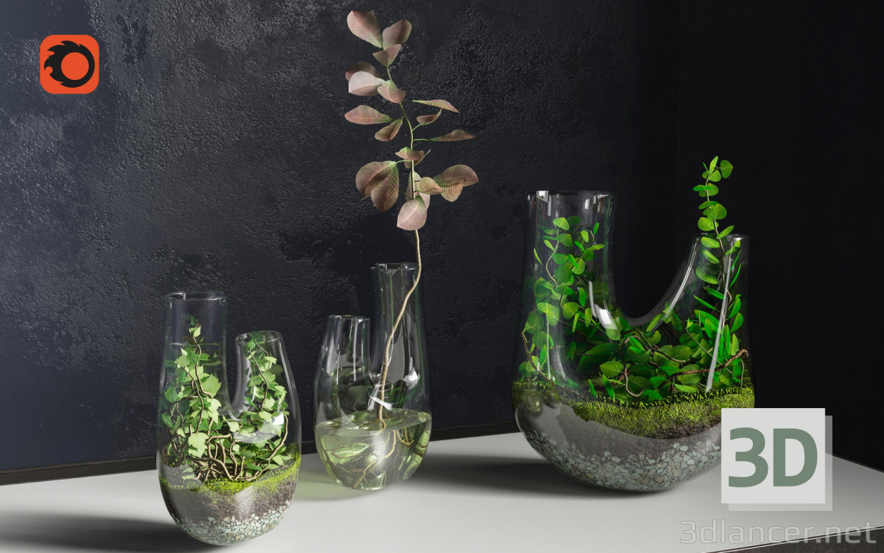 modèle 3D de Terrarium végétal SET PREVIEWNUM #