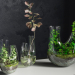 modèle 3D de Terrarium végétal SET PREVIEWNUM #