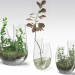 modèle 3D de Terrarium végétal SET PREVIEWNUM #