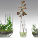 modèle 3D de Terrarium végétal SET PREVIEWNUM #