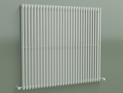 Radiateur vertical ARPA 2 (920 30EL, Standard blanc)