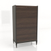 3d model Tall cabinet (E220) - preview