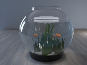 Goldfish aquarium