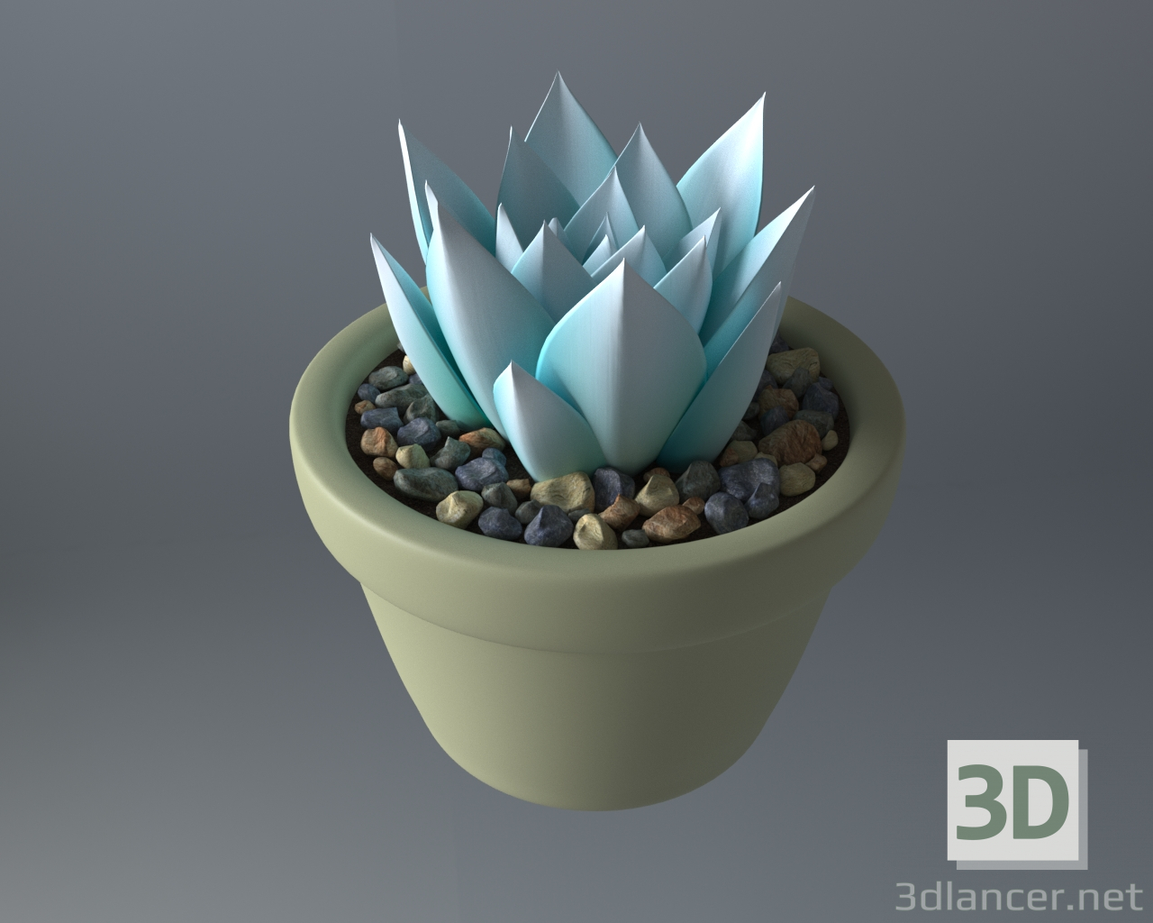 modello 3D di Pianta succulenta in vaso comprare - rendering