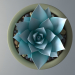 modello 3D di Pianta succulenta in vaso comprare - rendering