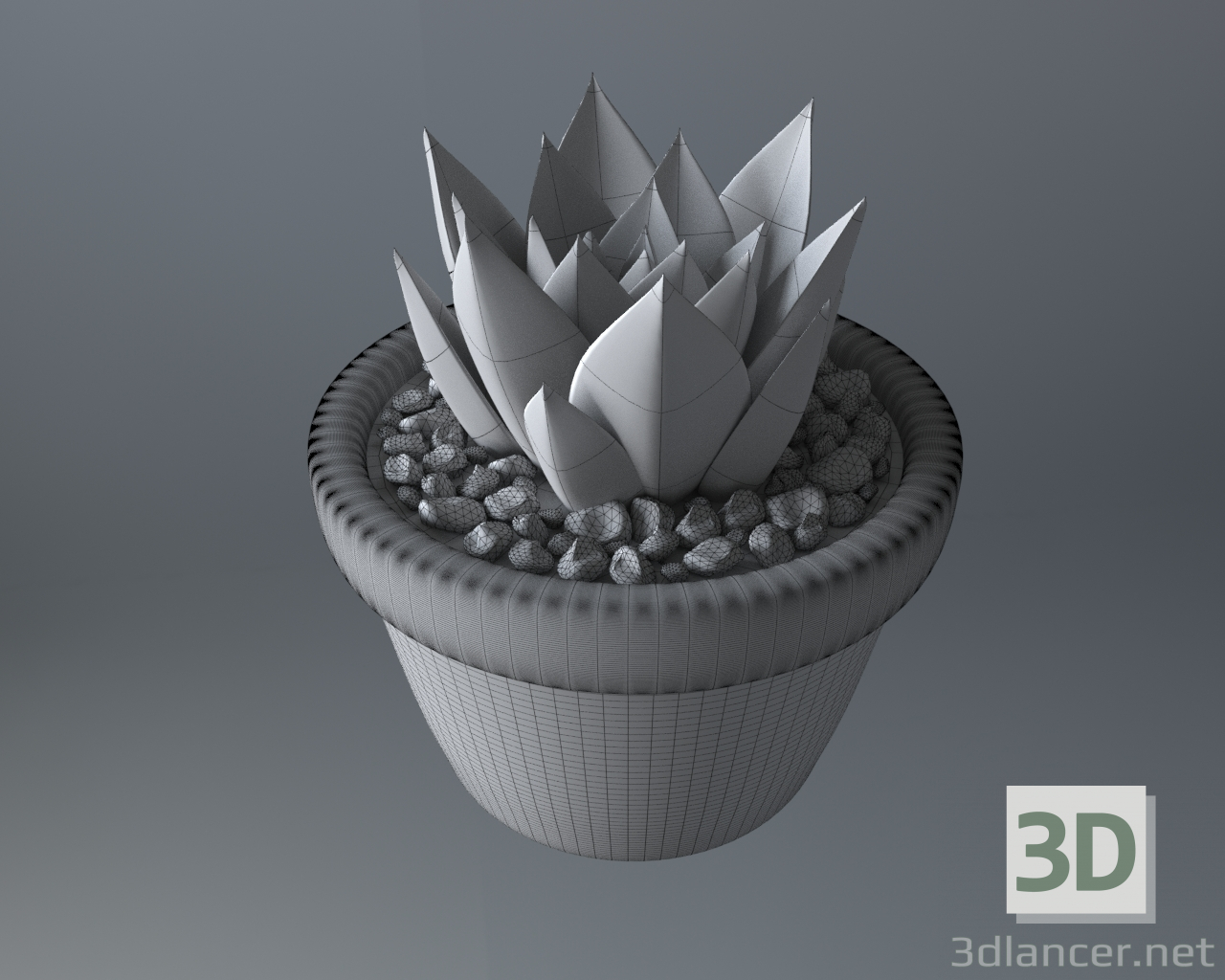 Planta suculenta en una maceta 3D modelo Compro - render