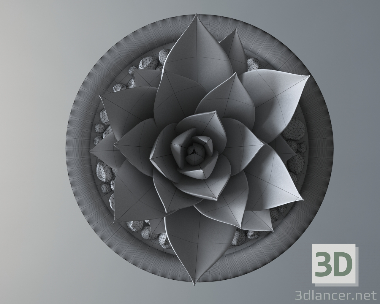 modello 3D di Pianta succulenta in vaso comprare - rendering