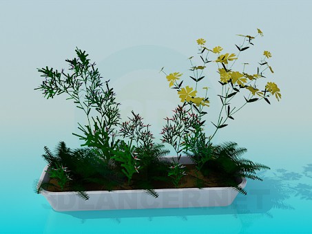 3d model Florero largo con flores - vista previa