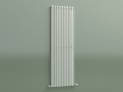 Radiator vertical ARPA 2 (1520 14EL, Standard white)