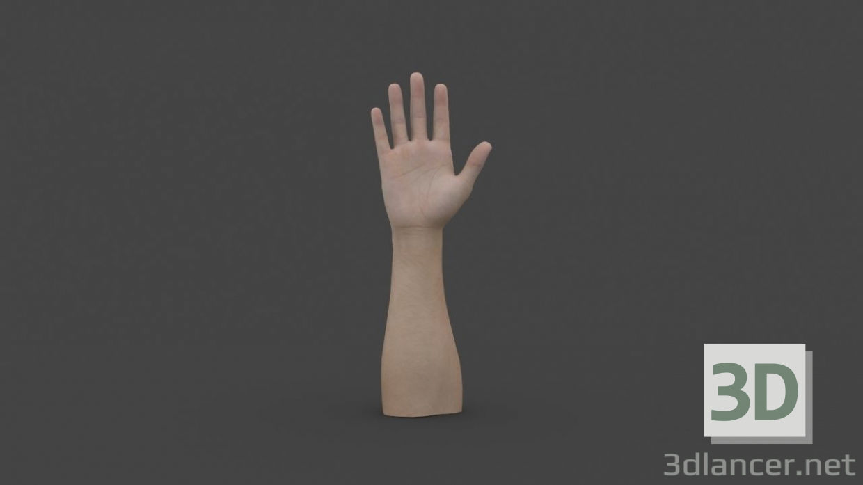 HAND-006 Mano aparejada 3D modelo Compro - render