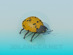 Coccinelle jaune