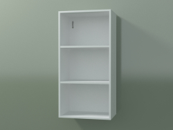 Wall tall cabinet (8DUBBC01, Glacier White C01, L 36, P 24, H 72 cm)