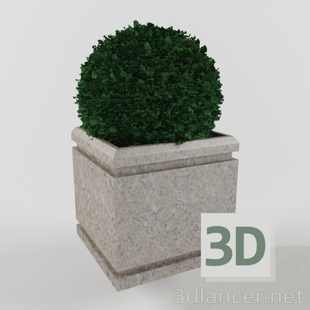 modello 3D cespuglio - anteprima