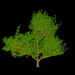 3d model arbol - vista previa