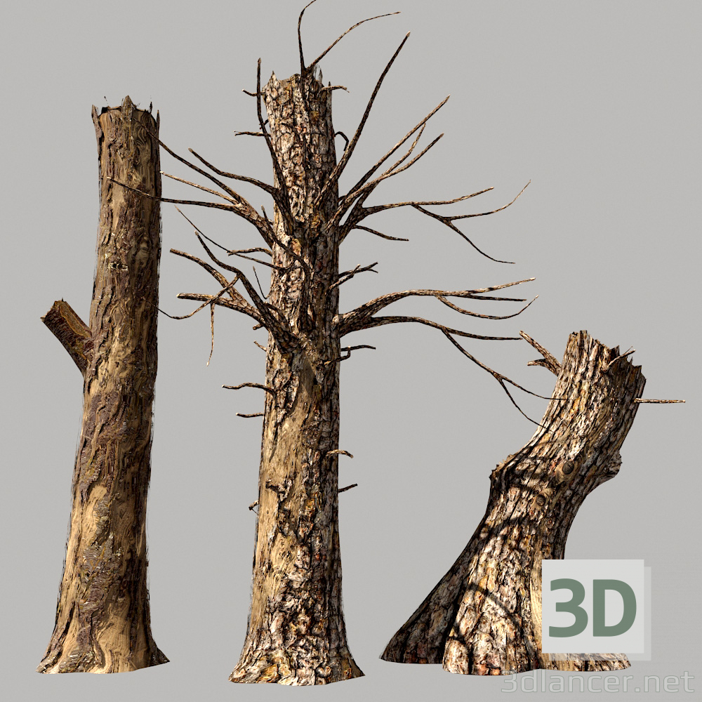 modèle 3D de Bois mort acheter - rendu