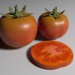 modèle 3D Tomates - preview