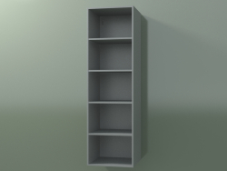 Wall tall cabinet (8DUBDD01, Silver Gray C35, L 36, P 36, H 120 cm)