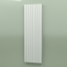 modèle 3D Radiateur - Faro V (FAV 21 1950600, RAL - 7038) - preview