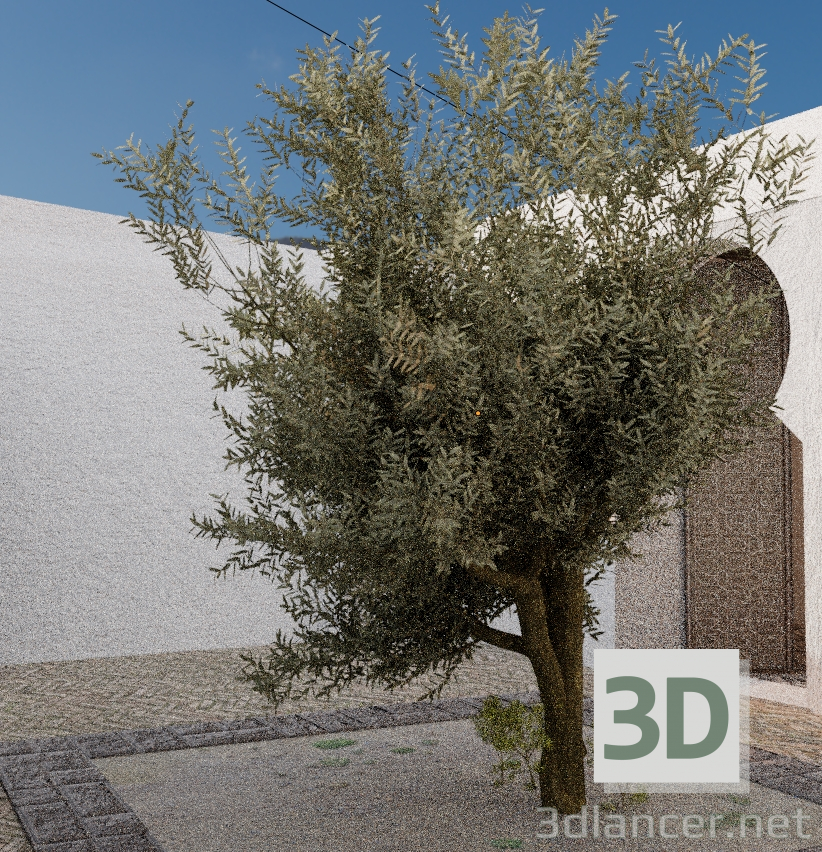 3D modeli zeytin - önizleme