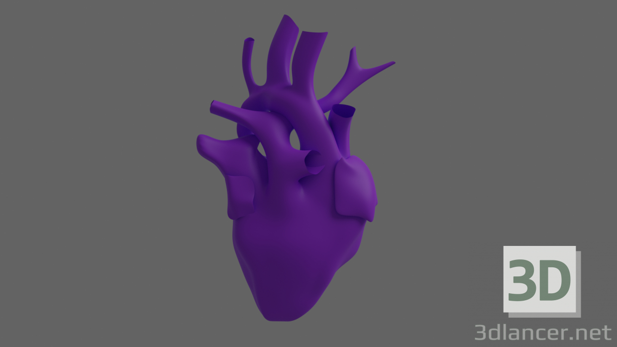 modello 3D Cuore - anteprima