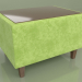 modèle 3D Table basse rectangulaire Cosmo (Velours vert) - preview