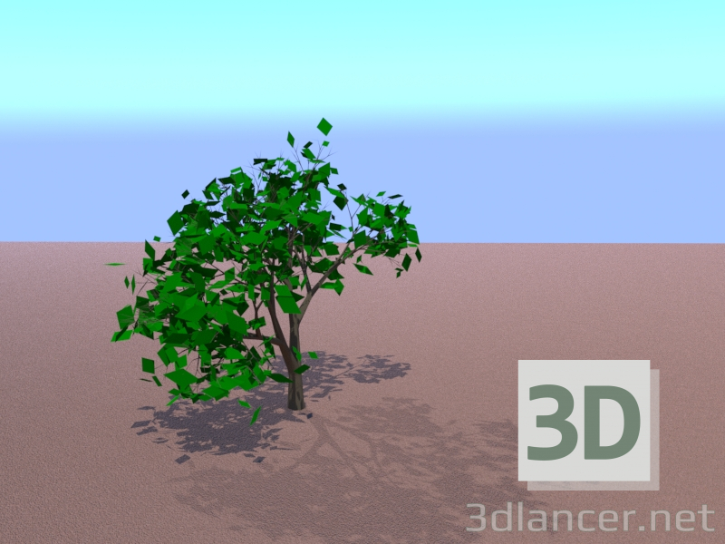 modèle 3D Plante - preview