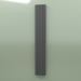 3d model Radiator - Faro V (FAV 21 2100 300, RAL - 9005) - preview