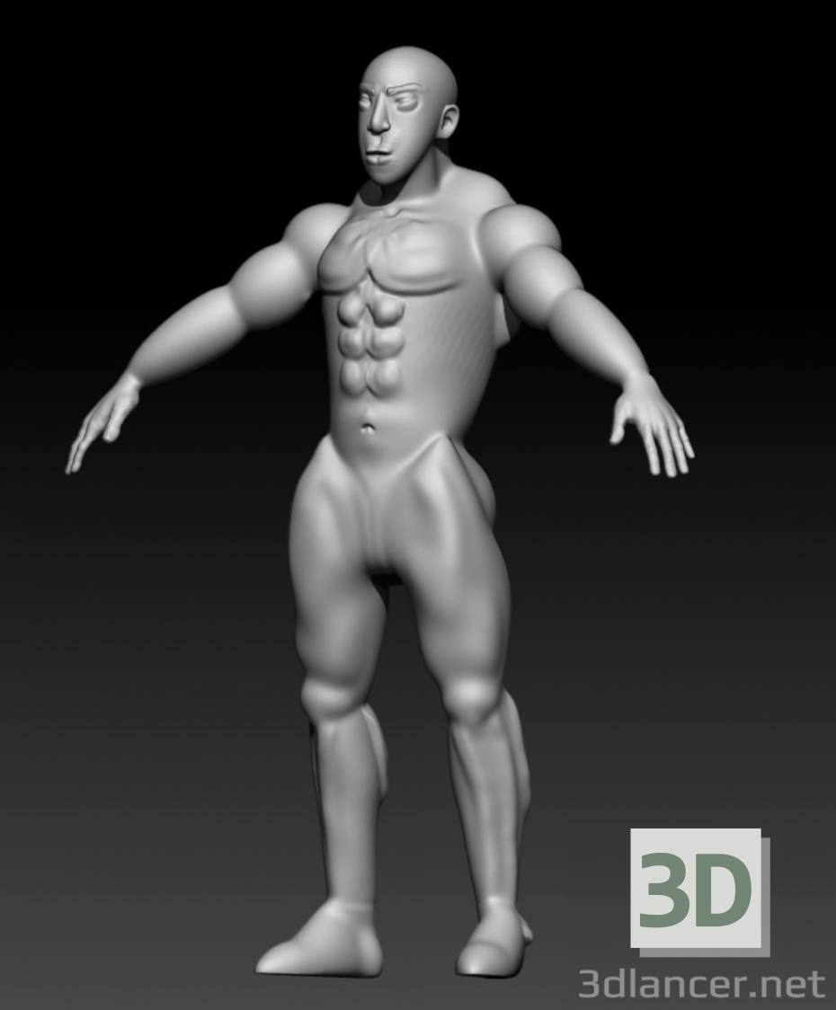 3d model Left winger - preview