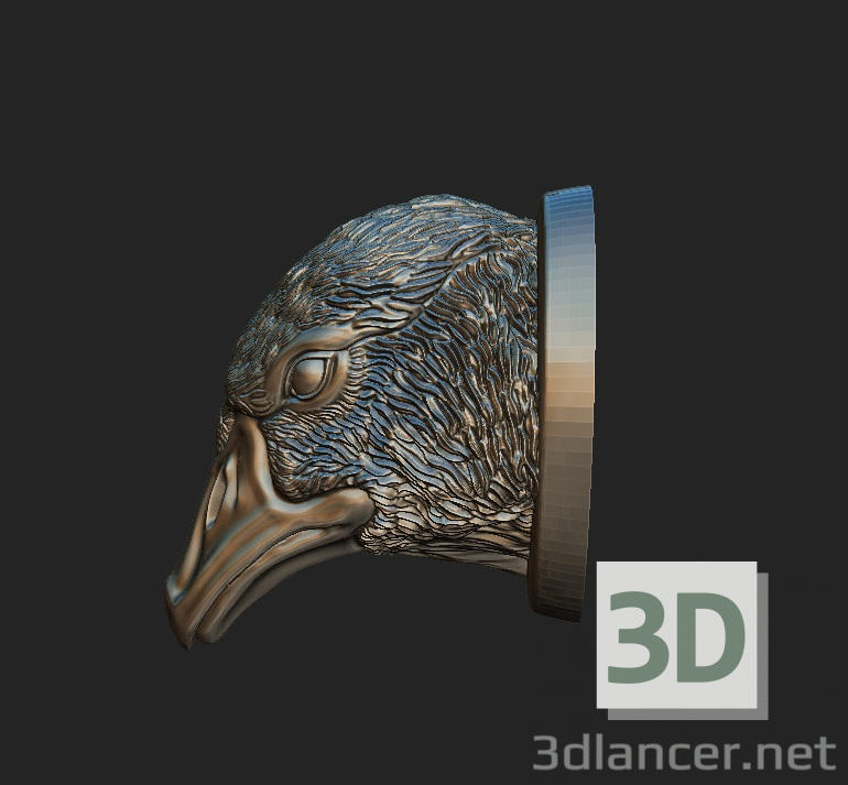 modèle 3D de OIE acheter - rendu