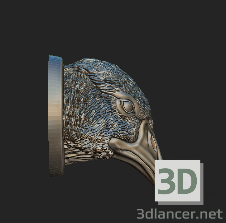 modèle 3D de OIE acheter - rendu