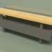 3d model Convector - Aura Bench (140x1000x146, RAL 7013) - preview