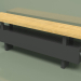 3d model Convector - Aura Bench (140x1000x146, RAL 9005) - preview