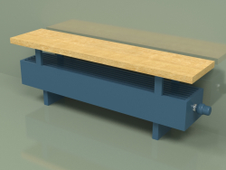 Convector - Aura Bench (140x1000x186, RAL 5001)