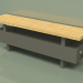 modello 3D Convector - Aura Bench (140x1000x186, RAL 7013) - anteprima