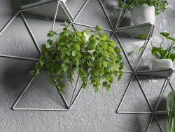 Étagère modulaire avec des plantes.