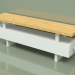 modello 3D Convector - Aura Bench (140x1000x186, RAL 9016) - anteprima